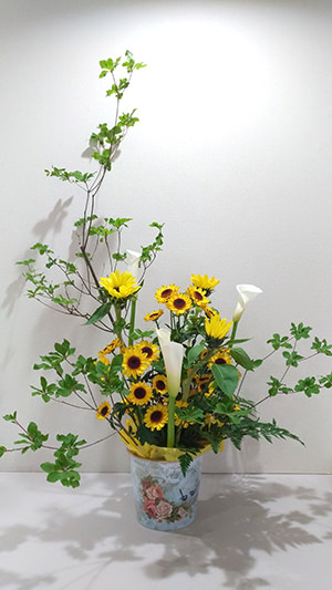 今月のお花3